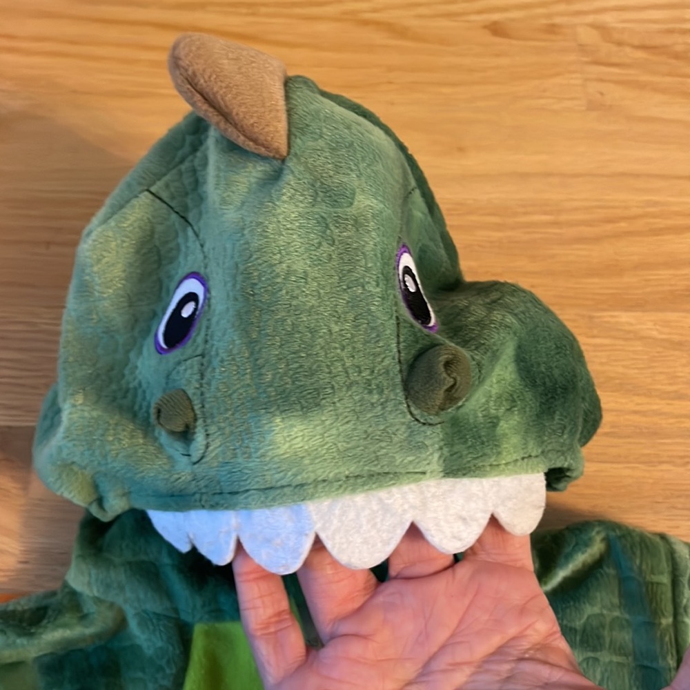 Infant Baby Toddler Green Dinosaur Dragon Costume, full zip, size 12 mo - Picture 4 of 11